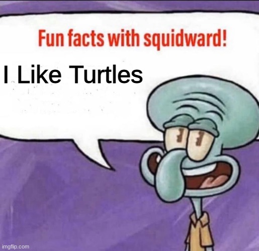 Fun Facts with Squidward | I Like Turtles | image tagged in fun facts with squidward | made w/ Imgflip meme maker