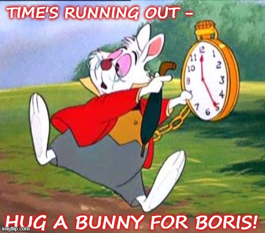 Bunny Hugging for Planet Earth | TIME'S RUNNING OUT -; HUG A BUNNY FOR BORIS! | image tagged in white rabbit i'm late,boris johnson,slogan,environmental,politics,extinction | made w/ Imgflip meme maker