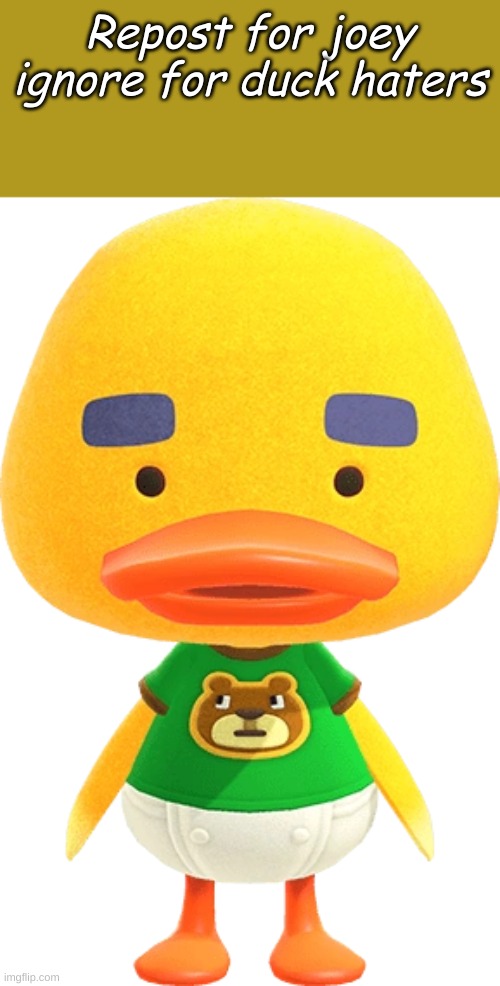 Joey from animal crossing | Repost for joey ignore for duck haters | image tagged in joey from animal crossing | made w/ Imgflip meme maker