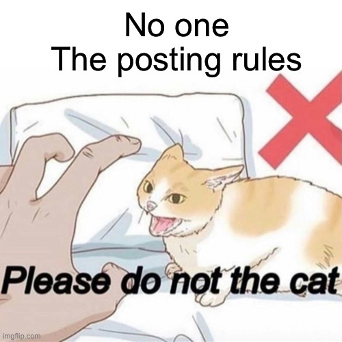 No one
The posting rules | image tagged in blank white template,please do not the cat | made w/ Imgflip meme maker