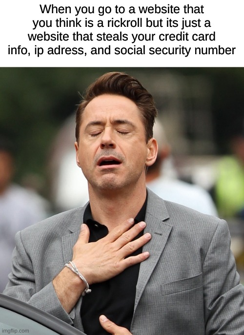 lol | When you go to a website that you think is a rickroll but its just a website that steals your credit card info, ip adress, and social security number | image tagged in relieved rdj | made w/ Imgflip meme maker