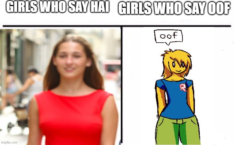 one day while browsing memes i came across a "girls who say meme", so i decided to make one myself. | GIRLS WHO SAY HAI; GIRLS WHO SAY OOF | image tagged in girls who say,oof,noob,roblox,girls | made w/ Imgflip meme maker