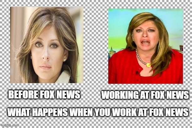 The Money Honey | WORKING AT FOX NEWS; BEFORE FOX NEWS; WHAT HAPPENS WHEN YOU WORK AT FOX NEWS | image tagged in free | made w/ Imgflip meme maker