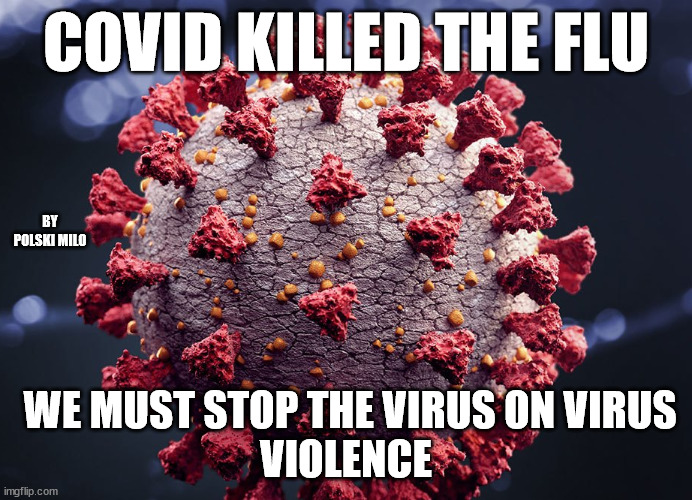 covid | COVID KILLED THE FLU; BY POLSKI MILO; WE MUST STOP THE VIRUS ON VIRUS
VIOLENCE | image tagged in funny memes | made w/ Imgflip meme maker