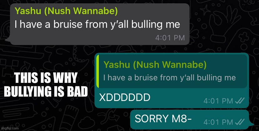 And no it was not bullying it was narwhals ex trying to take the ball from her and throwing her all over the cement | THIS IS WHY BULLYING IS BAD | made w/ Imgflip meme maker
