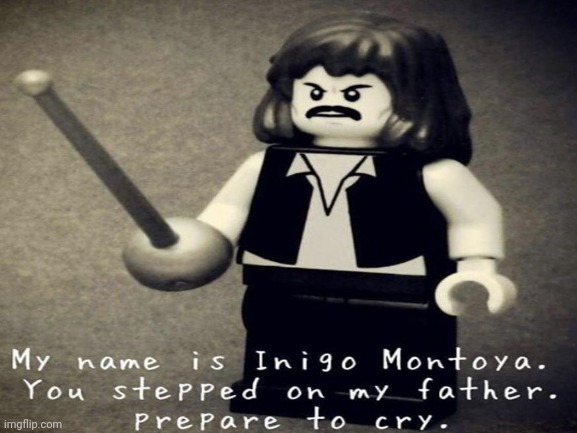 Beware the pointy LEGO sword | image tagged in the princess bride,lego | made w/ Imgflip meme maker