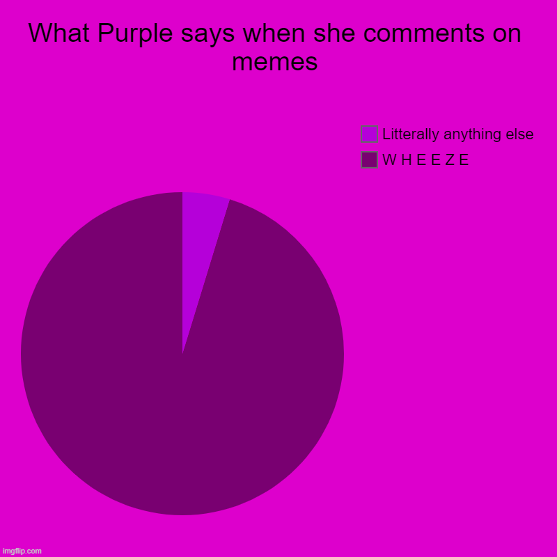 What Purple says when she comments on memes | W H E E Z E, Litterally anything else | image tagged in charts,pie charts | made w/ Imgflip chart maker