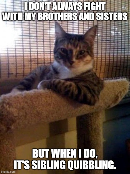 The Most Interesting Cat In The World Meme | I DON'T ALWAYS FIGHT WITH MY BROTHERS AND SISTERS BUT WHEN I DO, IT'S SIBLING QUIBBLING. | image tagged in memes,the most interesting cat in the world | made w/ Imgflip meme maker