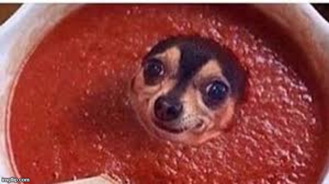 Sauce it up pupper | image tagged in sauce it up pupper | made w/ Imgflip meme maker