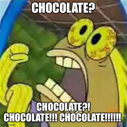 CHOCOLATE SpongeBob meme | CHOCOLATE? CHOCOLATE?! CHOCOLATE!!! CHOCOLATE!!!!!! | image tagged in chocolate spongebob meme | made w/ Imgflip meme maker