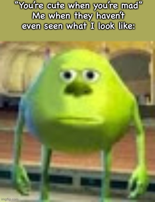 Sully Wazowski | “You’re cute when you’re mad”
Me when they haven’t even seen what I look like: | image tagged in sully wazowski | made w/ Imgflip meme maker