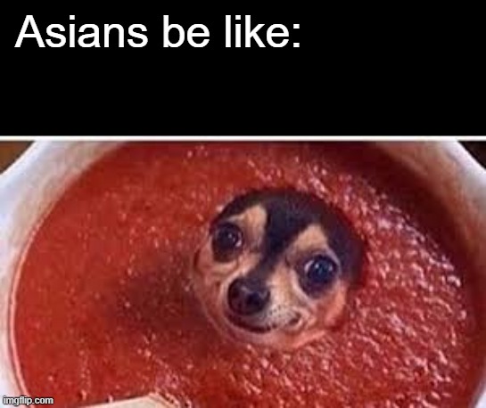extra spicy doggo soup | Asians be like: | image tagged in sauce it up pupper | made w/ Imgflip meme maker