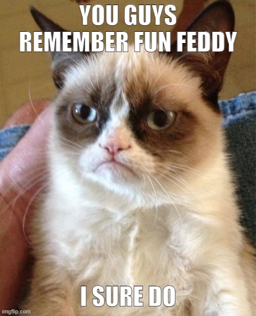 oh those were the days, | YOU GUYS REMEMBER FUN FEDDY; I SURE DO | image tagged in memes,grumpy cat | made w/ Imgflip meme maker