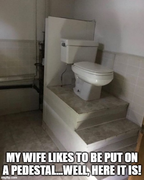The Throne | MY WIFE LIKES TO BE PUT ON A PEDESTAL...WELL, HERE IT IS! | image tagged in you had one job | made w/ Imgflip meme maker