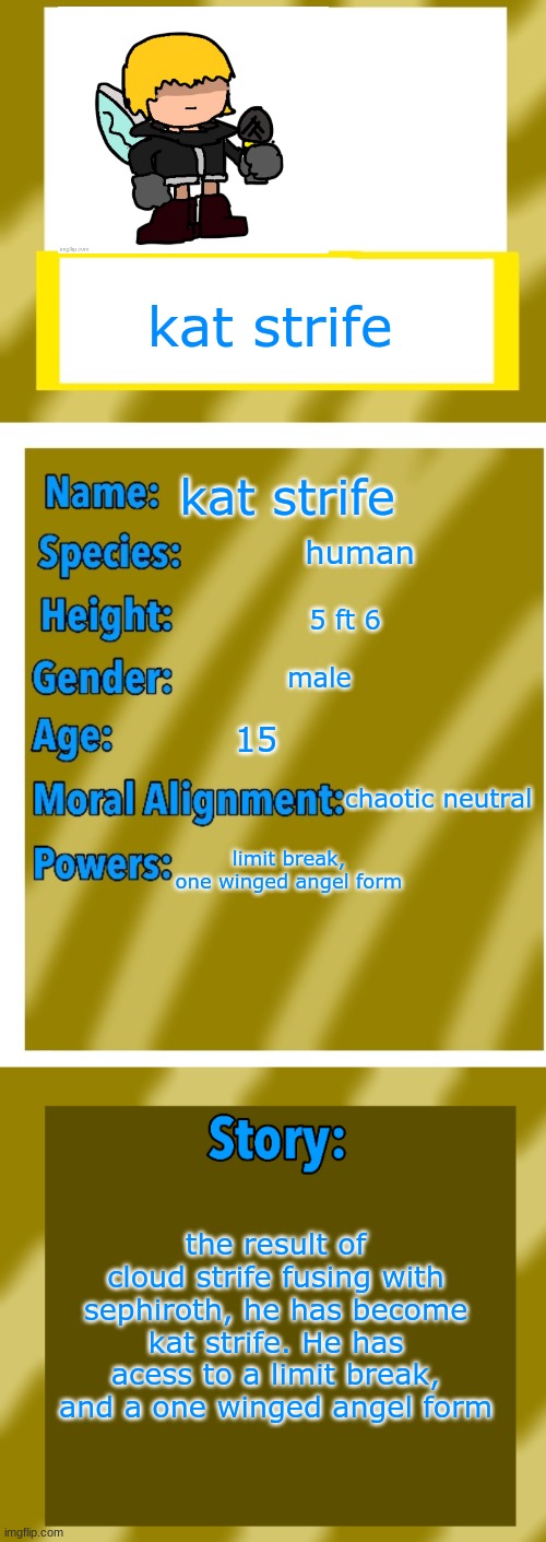 OC Bio Template | kat strife; kat strife; human; 5 ft 6; male; 15; chaotic neutral; limit break, one winged angel form; the result of cloud strife fusing with sephiroth, he has become kat strife. He has acess to a limit break, and a one winged angel form | image tagged in oc bio template | made w/ Imgflip meme maker