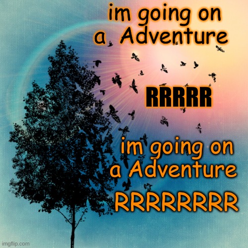 yal might get it on my last g i f | im going on a  Adventure; RRRRR; im going on a Adventure; RRRRRRRR | image tagged in bird background | made w/ Imgflip meme maker