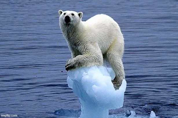 Polar bear climate change | image tagged in polar bear climate change | made w/ Imgflip meme maker