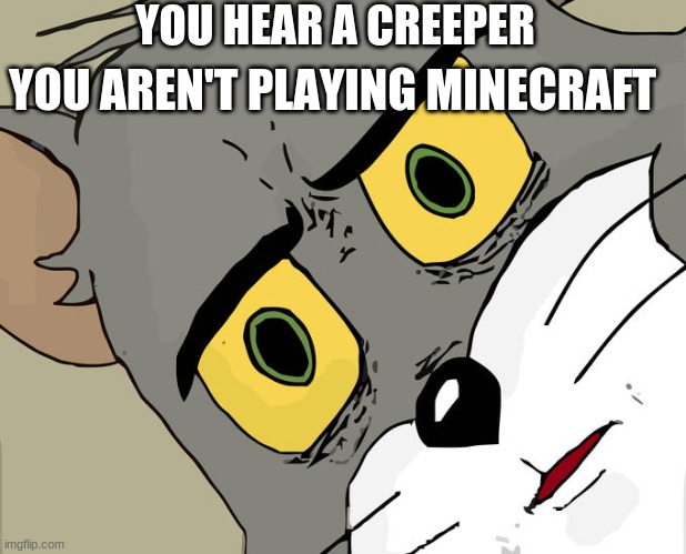 Unsettled Tom | YOU HEAR A CREEPER; YOU AREN'T PLAYING MINECRAFT | image tagged in minecraft | made w/ Imgflip meme maker