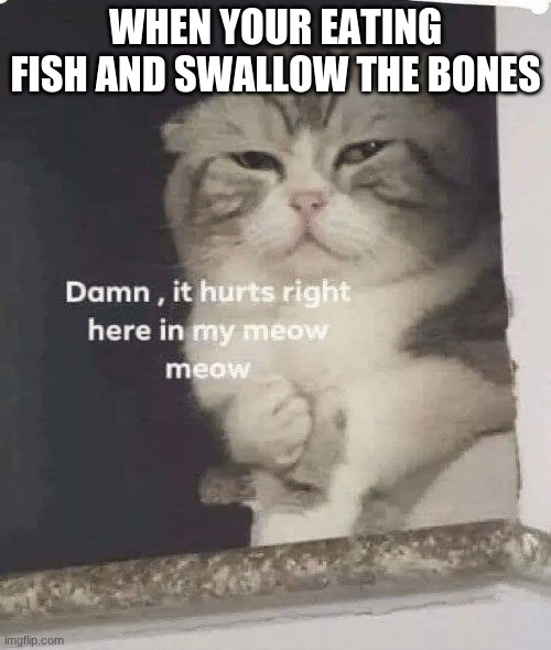 *Reaches into throat and risks choking because of a fricking bone* | WHEN YOUR EATING FISH AND SWALLOW THE BONES | image tagged in damn it hurts right here in my meow meow | made w/ Imgflip meme maker