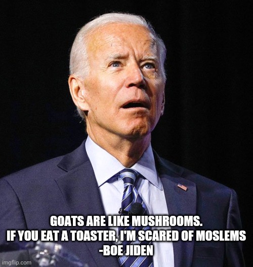 Joe Biden | GOATS ARE LIKE MUSHROOMS. IF YOU EAT A TOASTER, I'M SCARED OF MOSLEMS
-BOE JIDEN | image tagged in joe biden | made w/ Imgflip meme maker