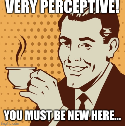 Mug approval | VERY PERCEPTIVE! YOU MUST BE NEW HERE... | image tagged in mug approval | made w/ Imgflip meme maker