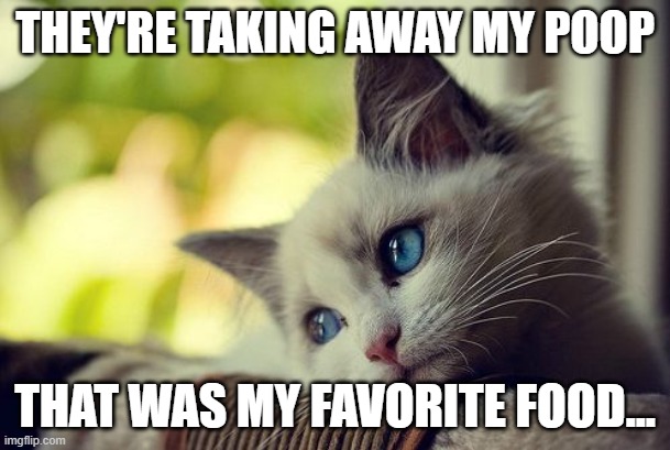 First World Problems Cat Meme | THEY'RE TAKING AWAY MY POOP; THAT WAS MY FAVORITE FOOD... | image tagged in memes,first world problems cat | made w/ Imgflip meme maker