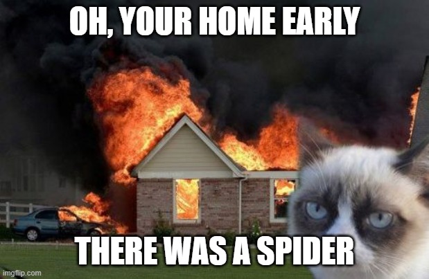 Burn Kitty | OH, YOUR HOME EARLY; THERE WAS A SPIDER | image tagged in memes,burn kitty,grumpy cat | made w/ Imgflip meme maker
