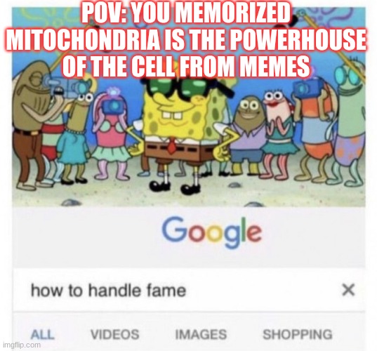 HAHAHAH GOLD MY CAREER ENDS IN GOLDDDDDDD. GOLDDDDDDDDDDDDDDDD I SAY | POV: YOU MEMORIZED MITOCHONDRIA IS THE POWERHOUSE OF THE CELL FROM MEMES | image tagged in how to handle fame | made w/ Imgflip meme maker