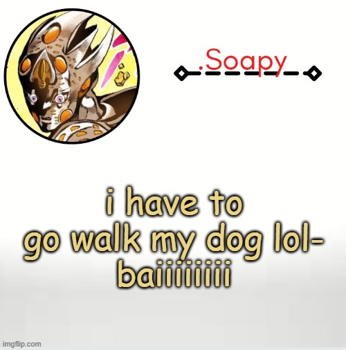 Soap ger temp | i have to go walk my dog lol-
baiiiiiiii | image tagged in soap ger temp | made w/ Imgflip meme maker