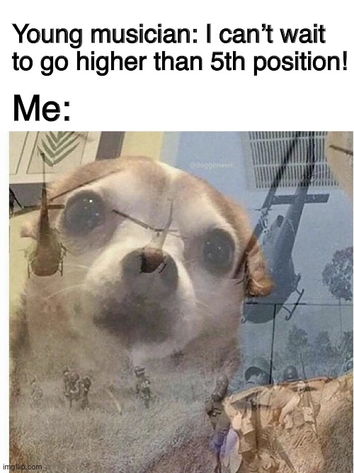 Young musician: I can’t wait to go higher than 5th position! Me: | image tagged in blank white template,ptsd chihuahua,orchestra,violin,music,classical music | made w/ Imgflip meme maker