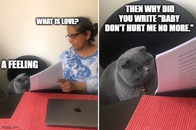 Woman showing paper to cat | THEN WHY DID YOU WRITE "BABY DON'T HURT ME NO MORE."; WHAT IS LOVE? A FEELING | image tagged in woman showing paper to cat,what is love,oh wow are you actually reading these tags | made w/ Imgflip meme maker