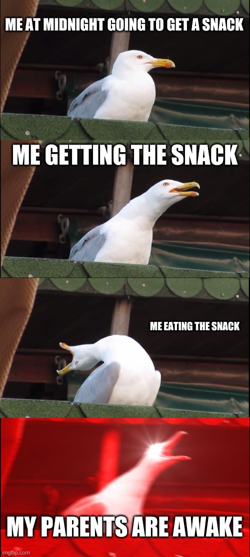 getting a snack | ME AT MIDNIGHT GOING TO GET A SNACK; ME GETTING THE SNACK; ME EATING THE SNACK; MY PARENTS ARE AWAKE | image tagged in memes,inhaling seagull | made w/ Imgflip meme maker