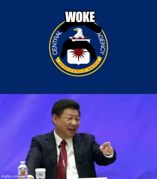 Central Woke Agency | WOKE | image tagged in cia,xi jinping laughing | made w/ Imgflip meme maker