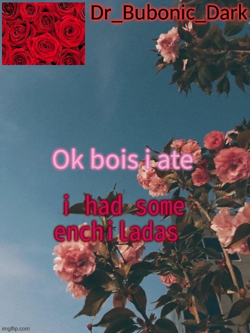 now are yall happy? | Ok bois i ate; i had some enchiladas | image tagged in bubonics rose temp thanks trash | made w/ Imgflip meme maker