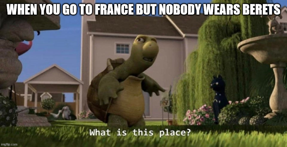 What is this place | WHEN YOU GO TO FRANCE BUT NOBODY WEARS BERETS | image tagged in what is this place | made w/ Imgflip meme maker