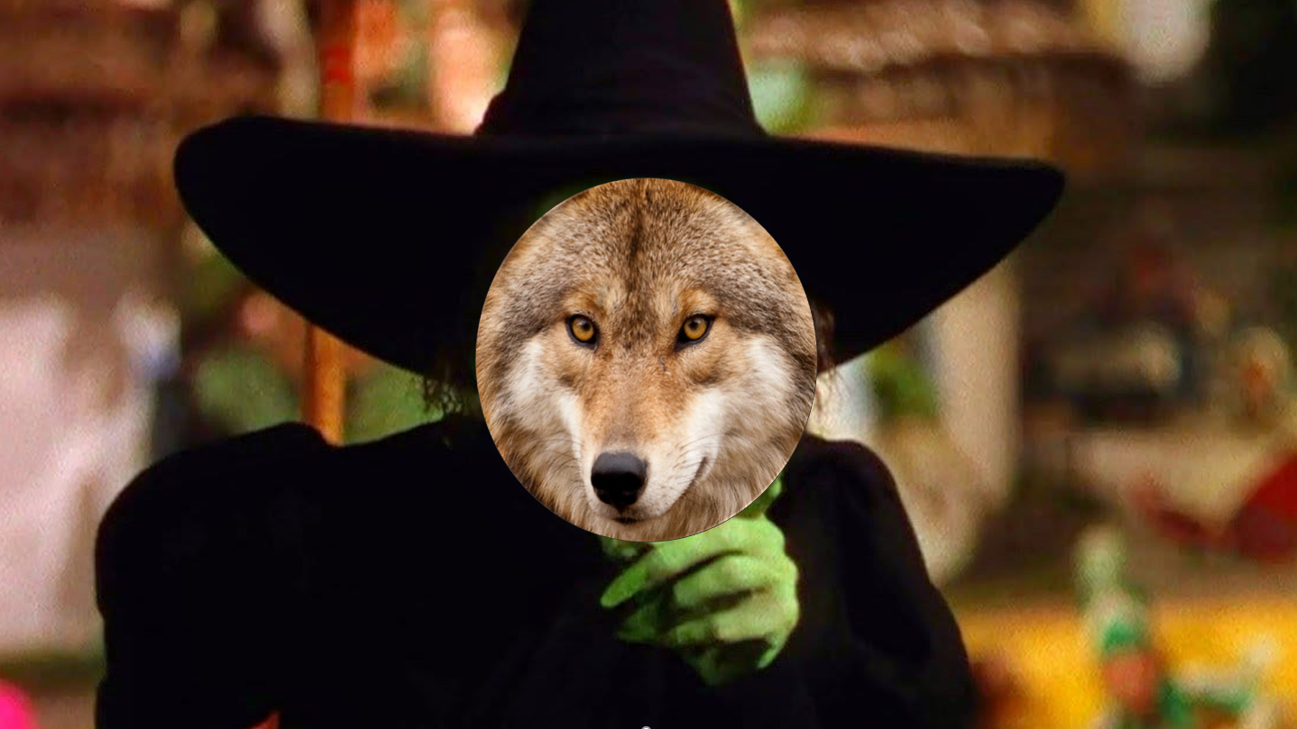 High Quality Coyote Wicked Witch Blank Meme Template