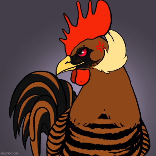 A rooster... named Tiger. | made w/ Imgflip meme maker