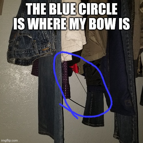 Like that 1st post i made | THE BLUE CIRCLE IS WHERE MY BOW IS | made w/ Imgflip meme maker
