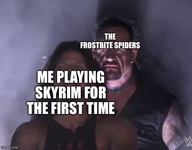 An aracnophobe’s worst nightmare. | THE FROSTBITE SPIDERS; ME PLAYING SKYRIM FOR THE FIRST TIME | image tagged in undertaker | made w/ Imgflip meme maker