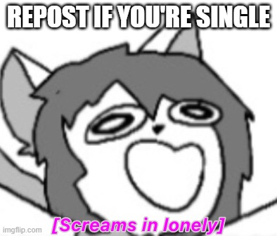 Psychocat screams in lonely | REPOST IF YOU'RE SINGLE | image tagged in psychocat screams in lonely | made w/ Imgflip meme maker