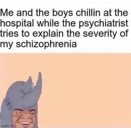 honestly too funny | image tagged in funny,memes,funny memes,me and the boys,barney will eat all of your delectable biscuits,schizophrenia | made w/ Imgflip meme maker