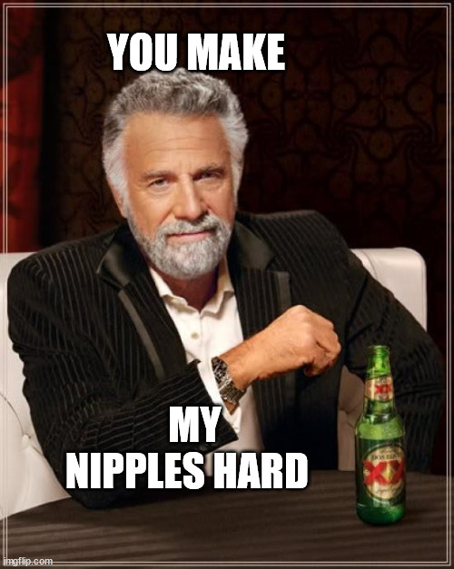 The Most Interesting Man In The World Meme | YOU MAKE; MY NIPPLES HARD | image tagged in memes,the most interesting man in the world | made w/ Imgflip meme maker