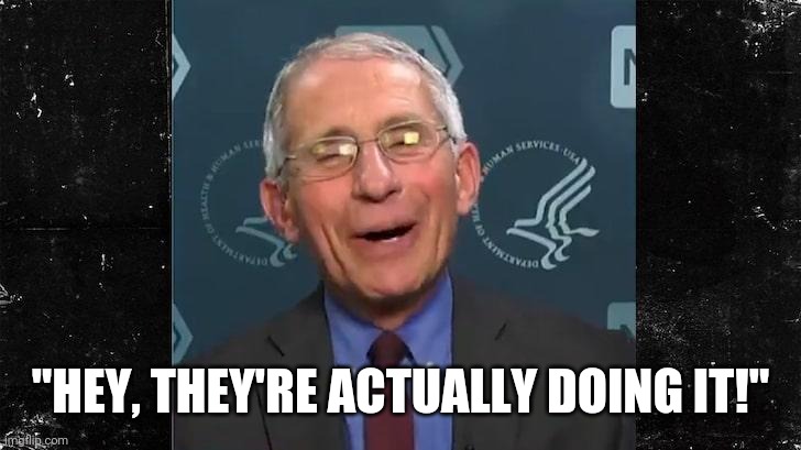 Fauci Laughing | "HEY, THEY'RE ACTUALLY DOING IT!" | image tagged in fauci laughing | made w/ Imgflip meme maker