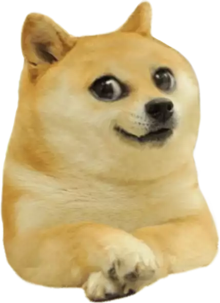 High Quality Transparent Doge (Baby) Blank Meme Template