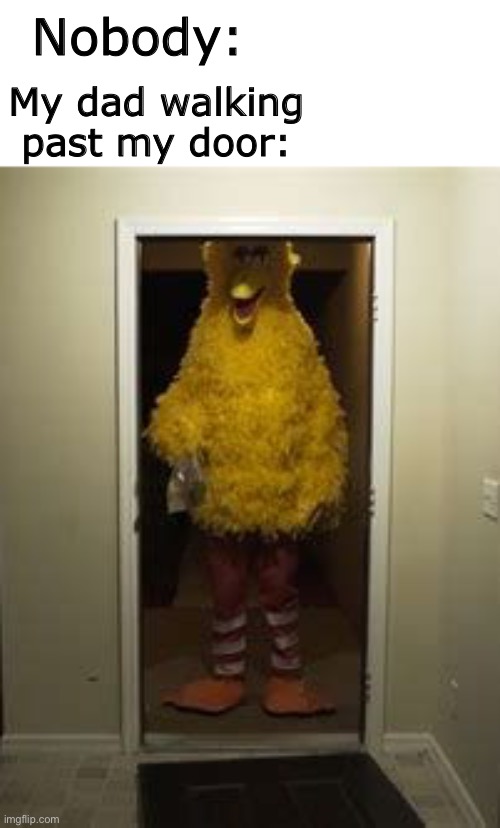 Big Bird Door | Nobody:; My dad walking past my door: | image tagged in big bird door | made w/ Imgflip meme maker