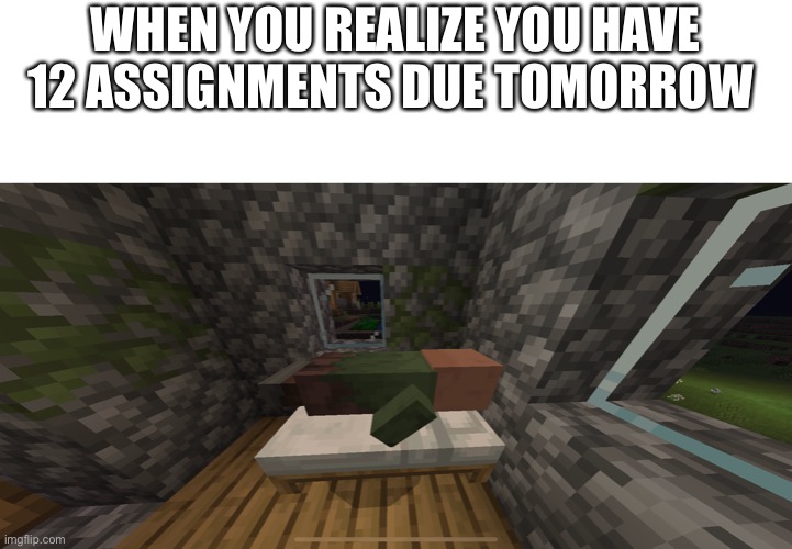 Villager sleeping | WHEN YOU REALIZE YOU HAVE 12 ASSIGNMENTS DUE TOMORROW | image tagged in villager sleeping | made w/ Imgflip meme maker
