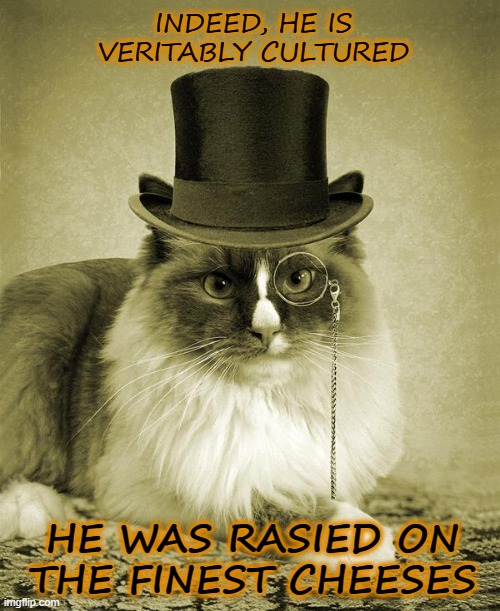 Indubitably, Mr. Fancy Cat | INDEED, HE IS VERITABLY CULTURED; HE WAS RASIED ON
THE FINEST CHEESES | image tagged in fancy cat,cats,cheese,culture,rich | made w/ Imgflip meme maker