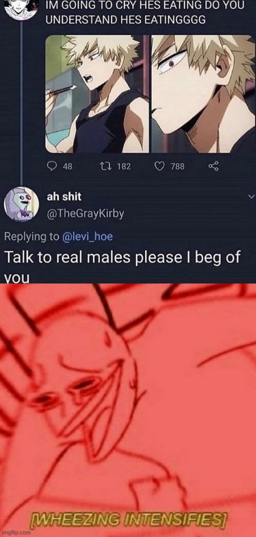 LMFAOOO BUT TALKING TO R E A L GUYS IT TOO HARD- | image tagged in wheeze | made w/ Imgflip meme maker