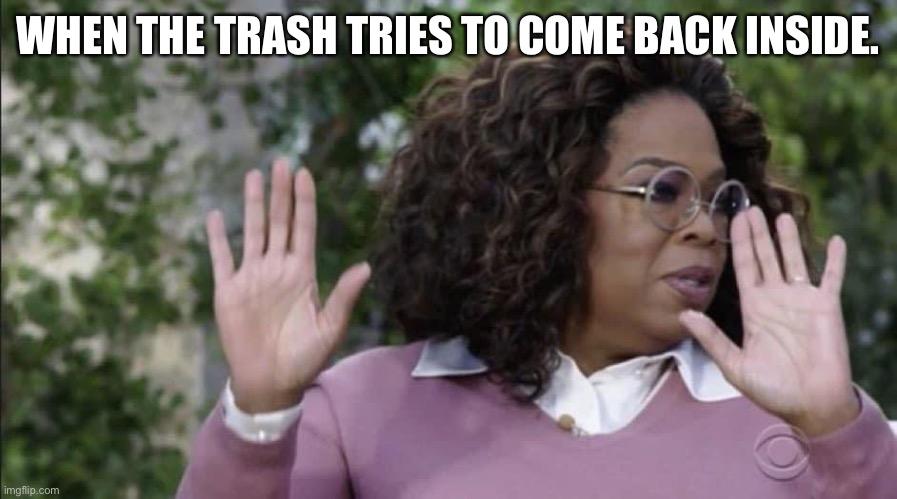 WHEN THE TRASH TRIES TO COME BACK INSIDE. | image tagged in oprah hands,trash,nope,go away,breakup,bye felicia | made w/ Imgflip meme maker