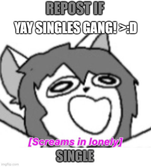 REPOST IF; SINGLE | made w/ Imgflip meme maker